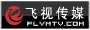 飞视传媒
