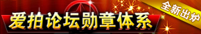 全新5大勋章