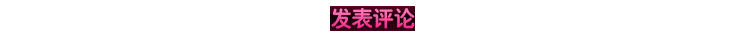 发表评论